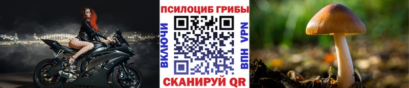 купить наркоту  Володарск  Псилоцибиновые грибы прущие грибы 